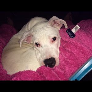 Meet your Posher, Alana